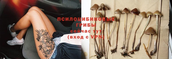 твердый Барнаул