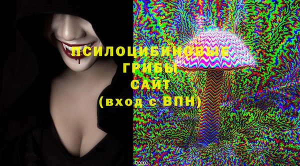 шишки Волосово