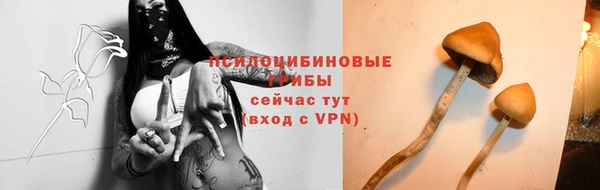 шишки Волосово