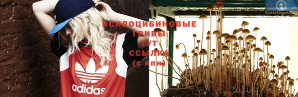 дурь Володарск