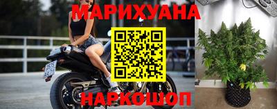 шишки Бийск