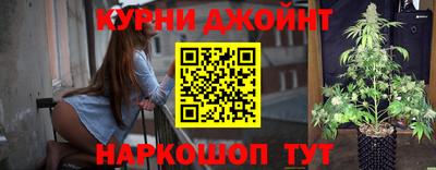 шишки Бийск