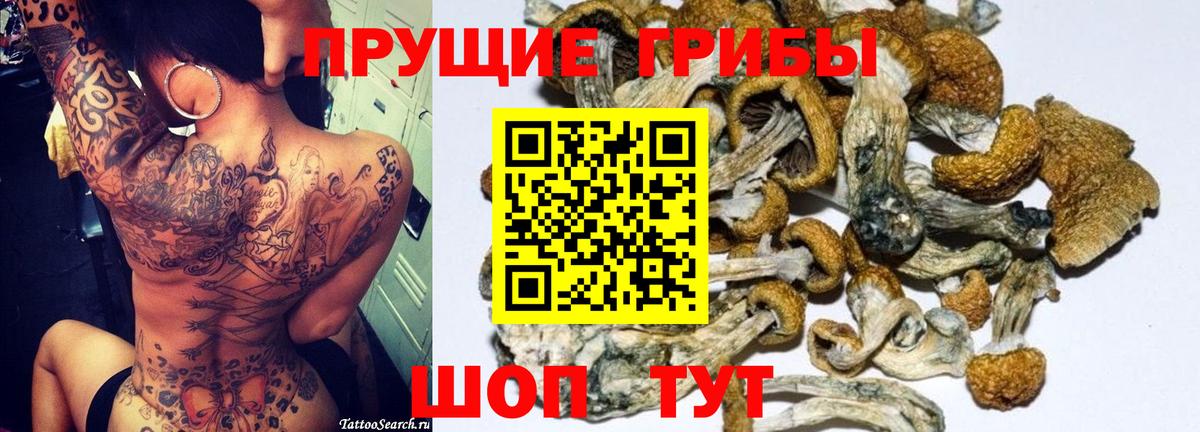 магазин продажи   Псилоцибиновые грибы MAGIC MUSHROOMS  Вход с VPN  Псилоцибиновые грибы мухоморы  Красноуфимск 