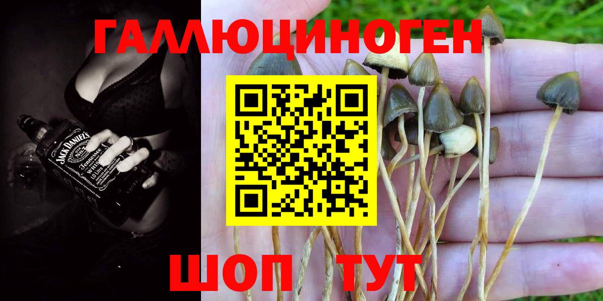 Псилоцибиновые грибы ЛСД Красноуфимск